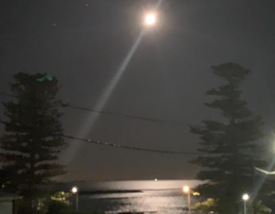 Pelicans Rest Shellharbour Luaran gambar